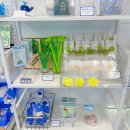 묵호등대바람의언덕논골카페 | 11월 동해 묵호 여행, 2일차, 묵호등대, 묵호 "등대카페", 논골담길, 논골 바람의 언덕 전망대, "말똥...