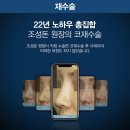 예담인 이미지