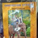 황금마을 | [태국 코끼리트레킹] 파타야 코끼리마을 &amp; 황금절벽사원 후기