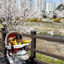 삼평중학교 옆 이미지