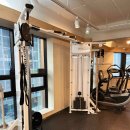 피티가치 시청 연산 이미지