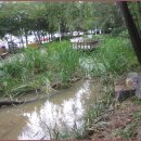 방아다리근린공원 이미지