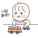 웰컴댕댕