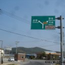 손항농장 Daum카페