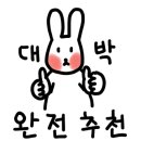 스테이애견샵