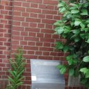 부경고등학교 이미지