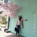 [ 5 월 2 일 ] 울산 남창 옹기축제 전야제 탐방 도보 사진 이미지