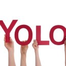 욜로(YOLO) 이미지