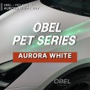 화이트(WHITE) | 김포랩핑 테슬라 랩핑 오벨(OBEL) AURORA WHITE 오로라 화이트 전체랩핑 후기