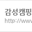 아인디스트리뷰션