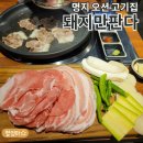돼지만판다 이미지
