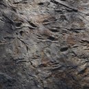 원시로4 이미지