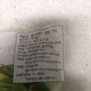 샐러데이Saladay