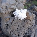 성산일출하우스 이미지