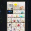 도봉-쌍문-도봉-1379 | 노원 꽃집 기념일 꽃다발과 케이크 동시 주문 가능한 나렌시아플라워