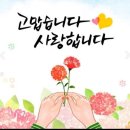 🐞🐞🐞 포항 영일대 해수욕장 공연 일정 이미지