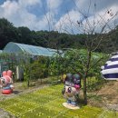 안데르센 어린이집 | 남양주 체험농장 어디가 좋을까? 아이와 하루 종일 놀기 좋았던 안데르센 정원 후기