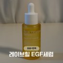 레이브 | 모공 탄력 관리, '레이브힐EGF세럼' 후기