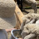 옹기목장 이미지