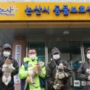 논산시 동물보호센터 이미지