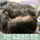 숲칼프 - 이천시 설봉로 23 | 가산두피관리 두피열 잦은 염증 지성두피 스케일링케어 후기 숲칼프가산점