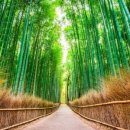 자유여행을 위한 일본어 회화 이미지