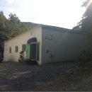 오마이독(oh my dog) 이미지