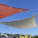 카페시로 이미지