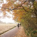 하미양 펜션 이미지