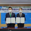 그린푸드 이미지