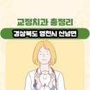 신녕치과의원 | 경상북도 영천시 신녕면 교정치과 총정리