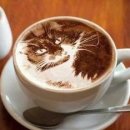 카페라떼(cafe라떼)