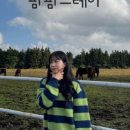 팜팜스테이 이미지