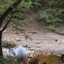 도림사 | 광주 근교 애견 동반 계곡 곡성 도림사 계곡 간단후기(취사X)