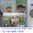 행복옥수수 이미지