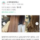 청춘살롱헤어