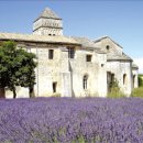 한붓꽃그림 이미지