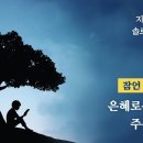 잠언 강해 17 - 은혜로운 말이 주는 유익 : 정동수 목사, 사랑침례교회, 킹제임스흠정역성경, 설교 (2022. 6. 3) 이미지