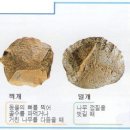 관광통역안내사_국사 이미지