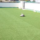 아리네개치원 이미지