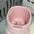 붕붕 이미지