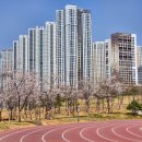 동탄 여울공원 배드민턴장 이미지