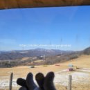 제일농장 | 대관령하늘농장 후기 - 제일 추운 날 눈물 흘리며 다녀온 트랙터 투어 [내돈내산]