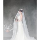 스튜디오아리와 이미지