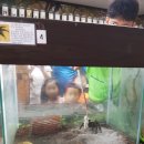 주필거미박물관 이미지