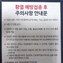 에티오피아 견문록 - #1 비행기에서 처음 만난 에티오피아
