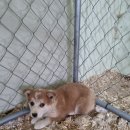 팔산리마을회관 이미지