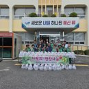 대흥면행정복지센터 중도일보