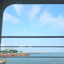 꽃사슴 민박 | 굴업도 1박 2일 후기 (feat. 트레킹코스)