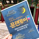 2024 강릉 무료체험 문탠투어 야경 후기